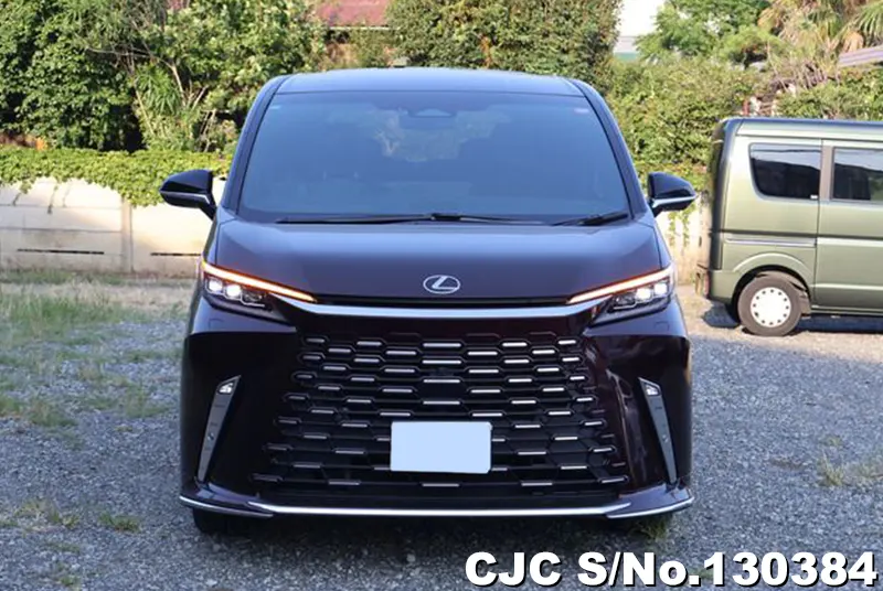 2025 Lexus / LM500h Stock No. 130384