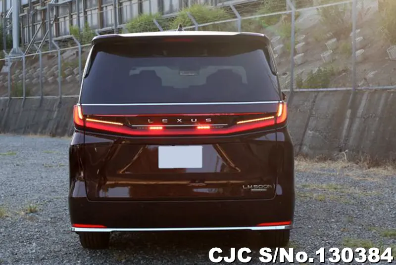 2025 Lexus / LM500h Stock No. 130384