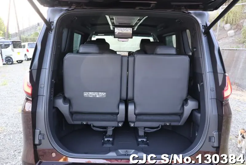 2025 Lexus / LM500h Stock No. 130384