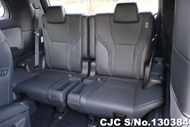 2025 Lexus / LM500h Stock No. 130384