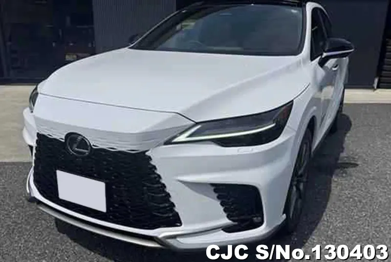 2024 Lexus / RX 350 Stock No. 130403