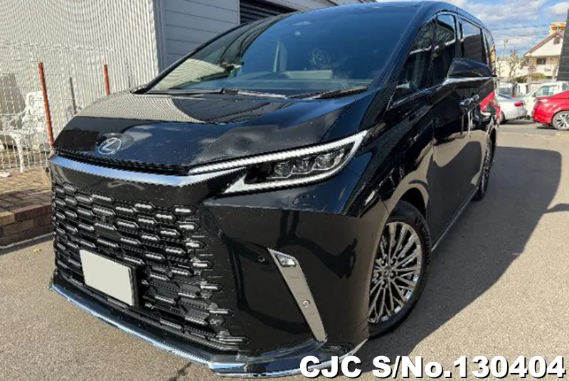 2024 Lexus / LM500h TAWH15W