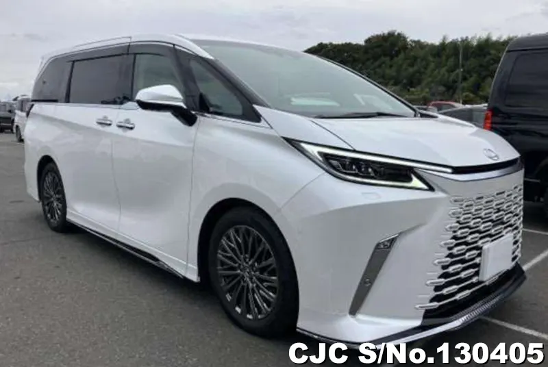 2024 Lexus / LM500h TAWH15W