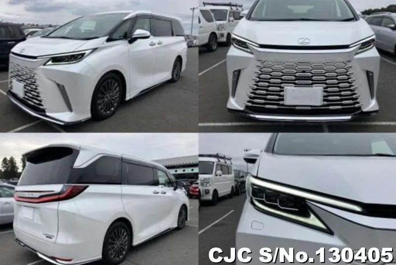 2024 Lexus / LM500h Stock No. 130405