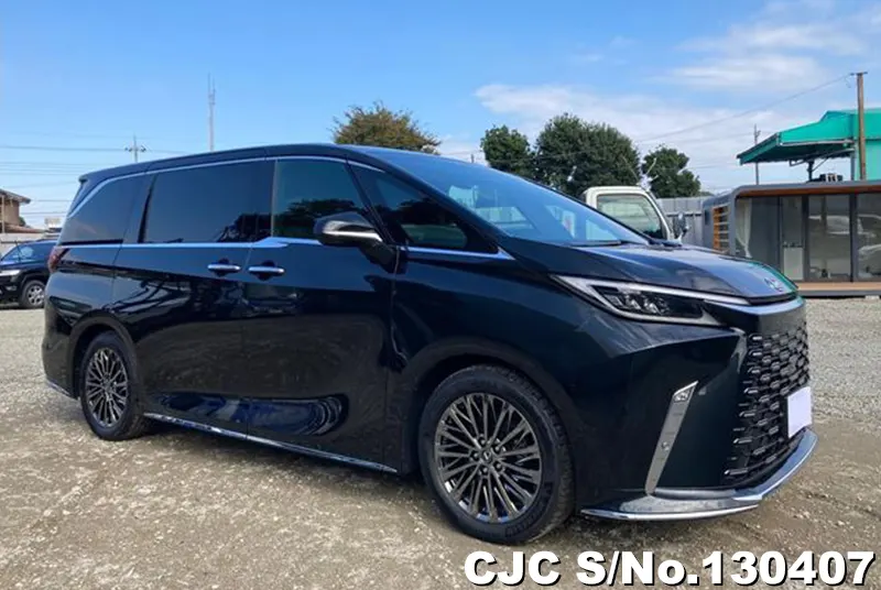 2024 Lexus / LM500h TAWH15W