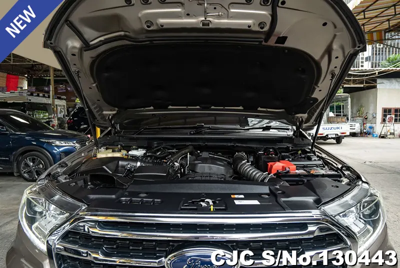 2020 Ford / Everest Stock No. 130443