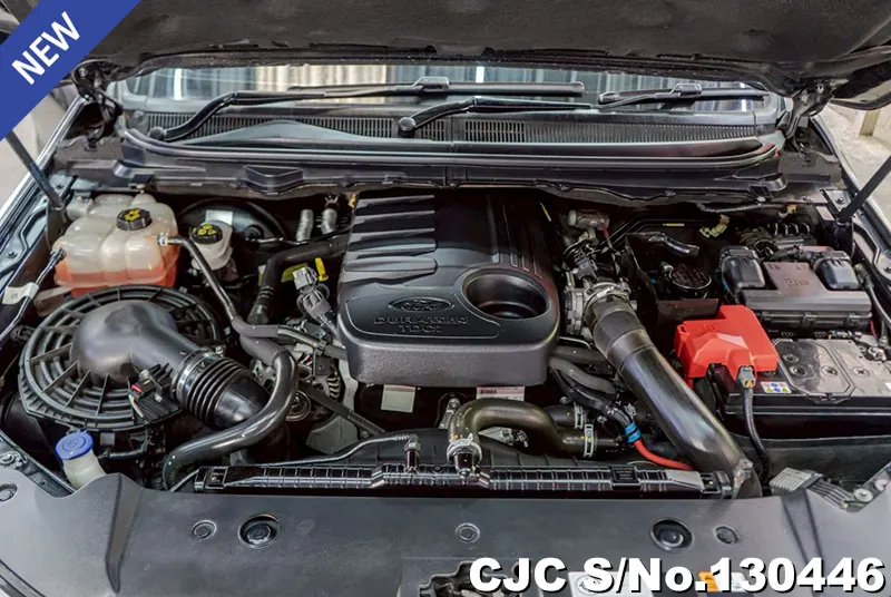 2017 Ford / Ranger Stock No. 130446