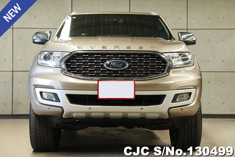 2019 Ford / Everest Stock No. 130499