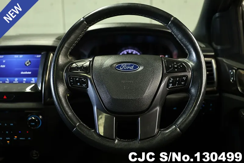 2019 Ford / Everest Stock No. 130499