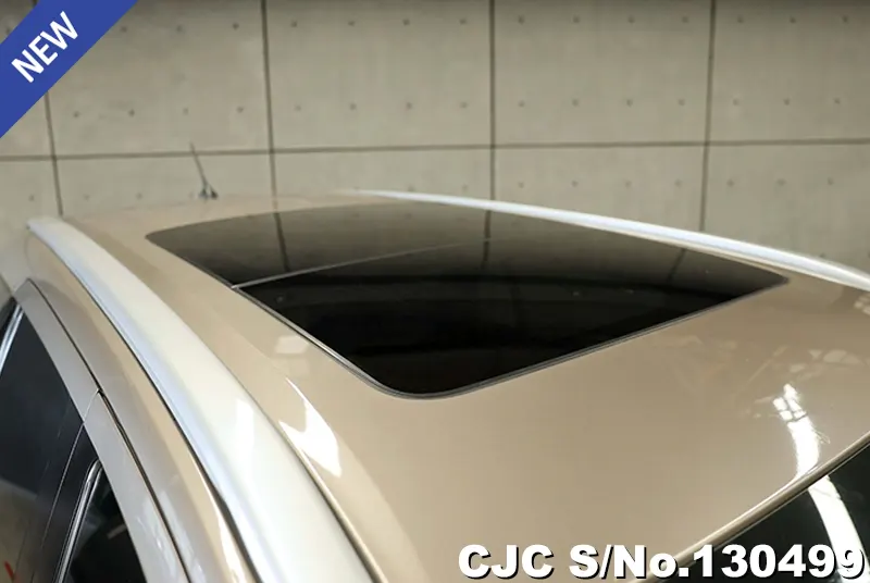 2019 Ford / Everest Stock No. 130499