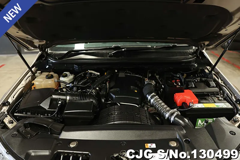 2019 Ford / Everest Stock No. 130499