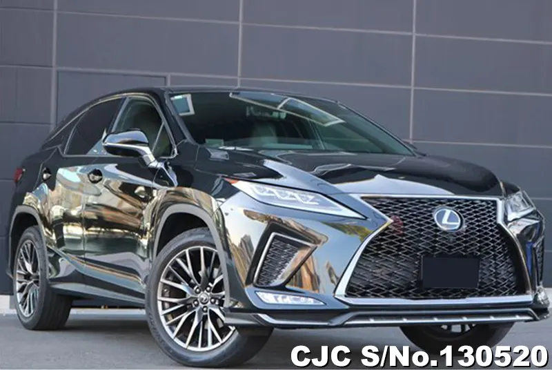 2020 Lexus / RX 300 Stock No. 130520