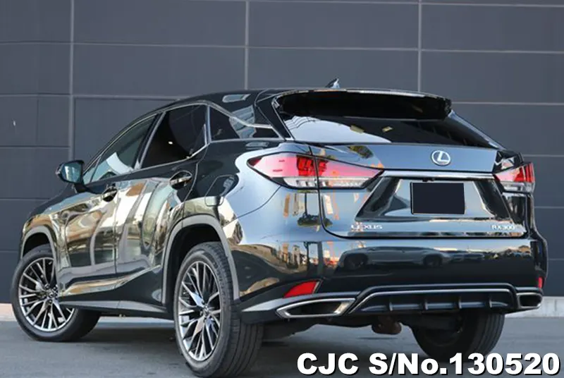 2020 Lexus / RX 300 Stock No. 130520