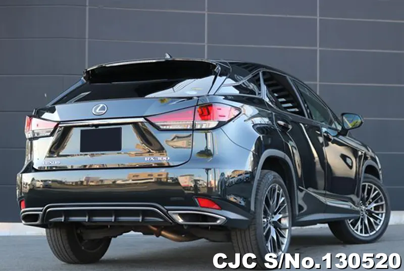 2020 Lexus / RX 300 Stock No. 130520