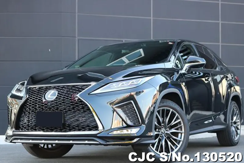 2020 Lexus / RX 300 Stock No. 130520
