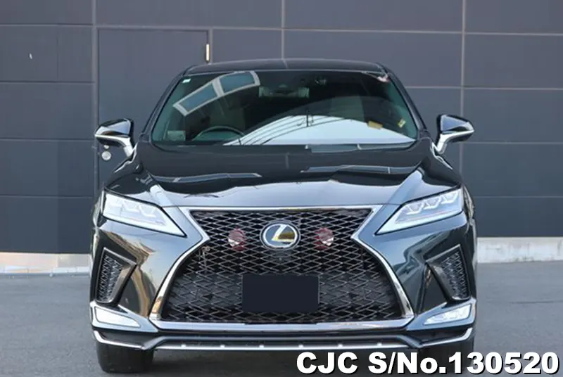 2020 Lexus / RX 300 Stock No. 130520