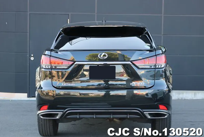 2020 Lexus / RX 300 Stock No. 130520