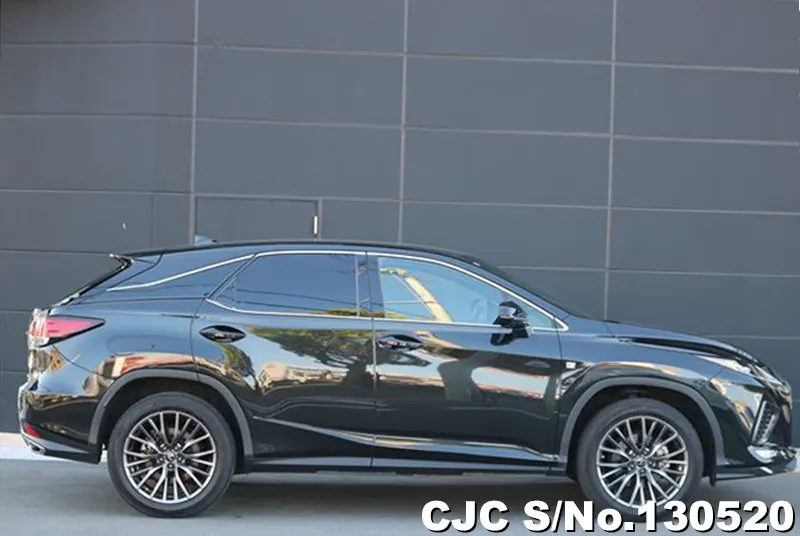 2020 Lexus / RX 300 Stock No. 130520