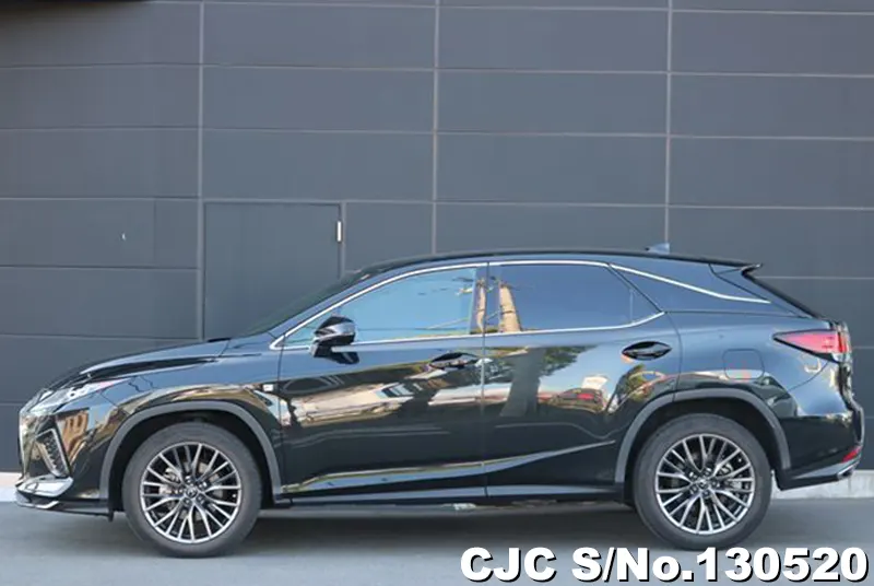 2020 Lexus / RX 300 Stock No. 130520