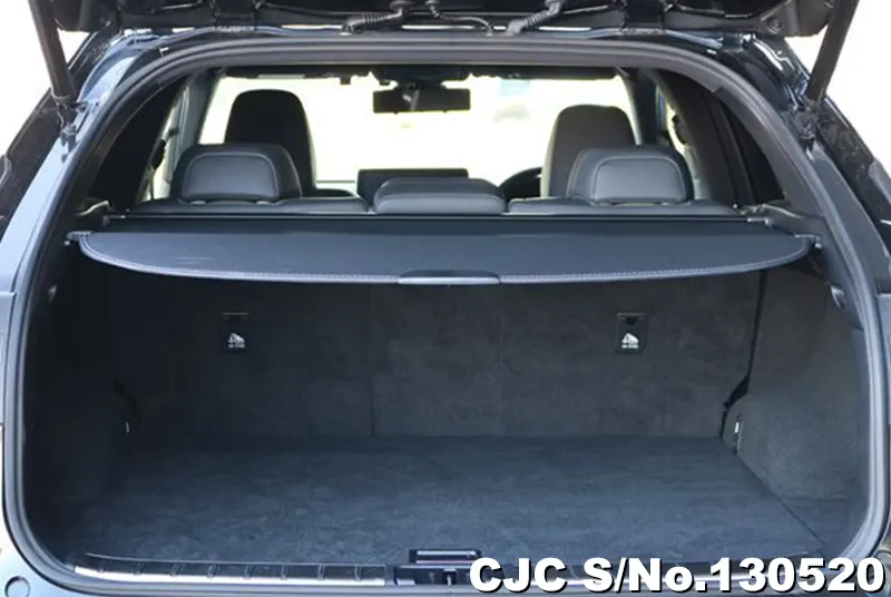 2020 Lexus / RX 300 Stock No. 130520