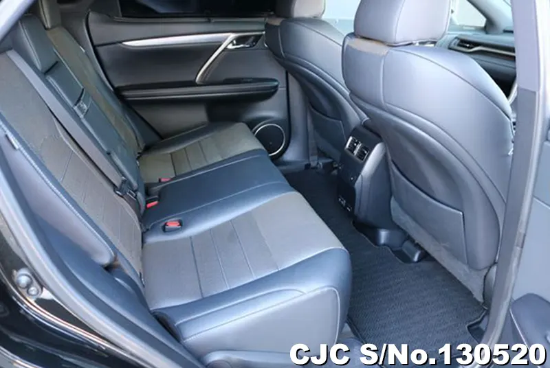 2020 Lexus / RX 300 Stock No. 130520