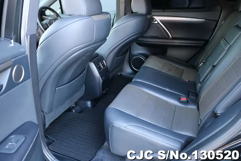 2020 Lexus / RX 300 Stock No. 130520