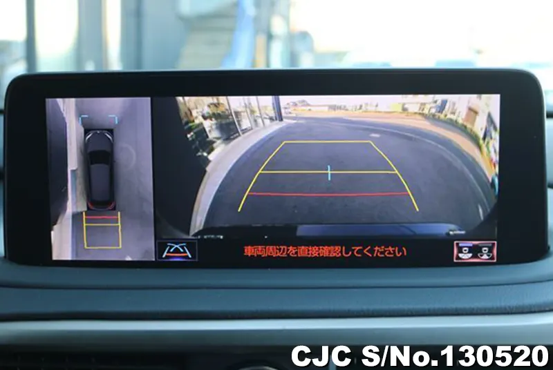 2020 Lexus / RX 300 Stock No. 130520