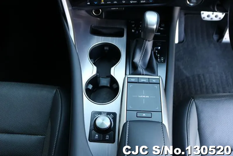 2020 Lexus / RX 300 Stock No. 130520