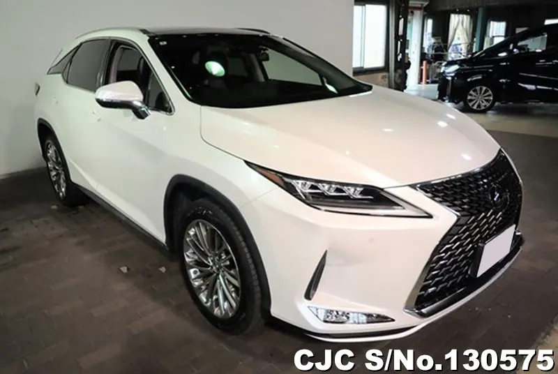 2020 Lexus / RX 300 Stock No. 130575
