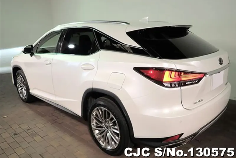 2020 Lexus / RX 300 Stock No. 130575