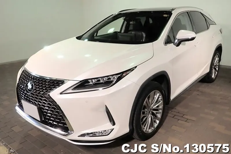 2020 Lexus / RX 300 Stock No. 130575