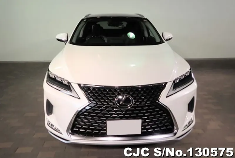 2020 Lexus / RX 300 Stock No. 130575