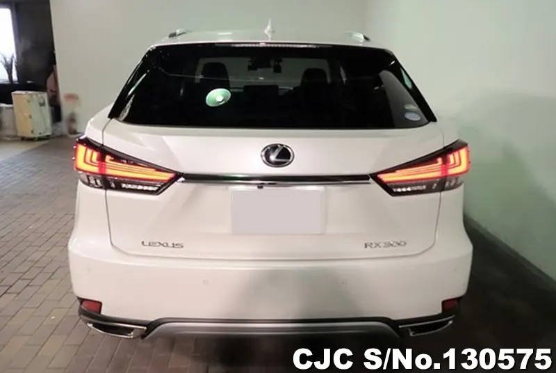 2020 Lexus / RX 300 Stock No. 130575