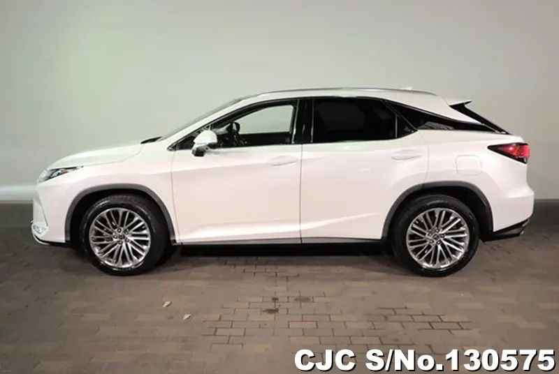 2020 Lexus / RX 300 Stock No. 130575