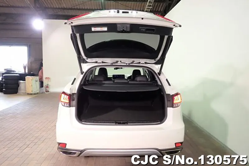 2020 Lexus / RX 300 Stock No. 130575