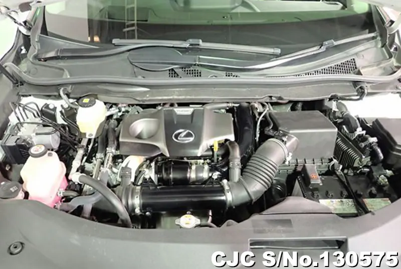 2020 Lexus / RX 300 Stock No. 130575