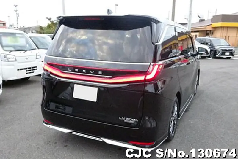 2024 Lexus / LM500h Stock No. 130674