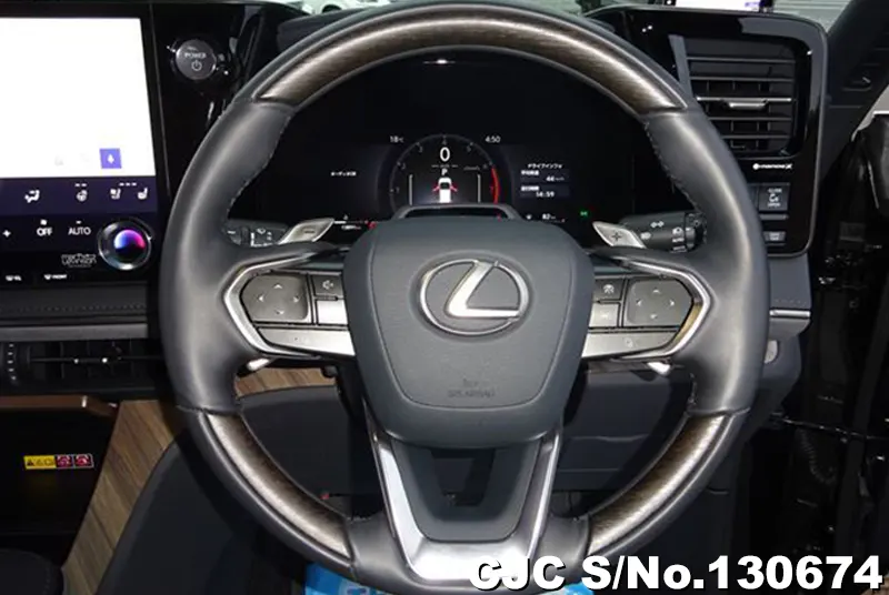 2024 Lexus / LM500h Stock No. 130674