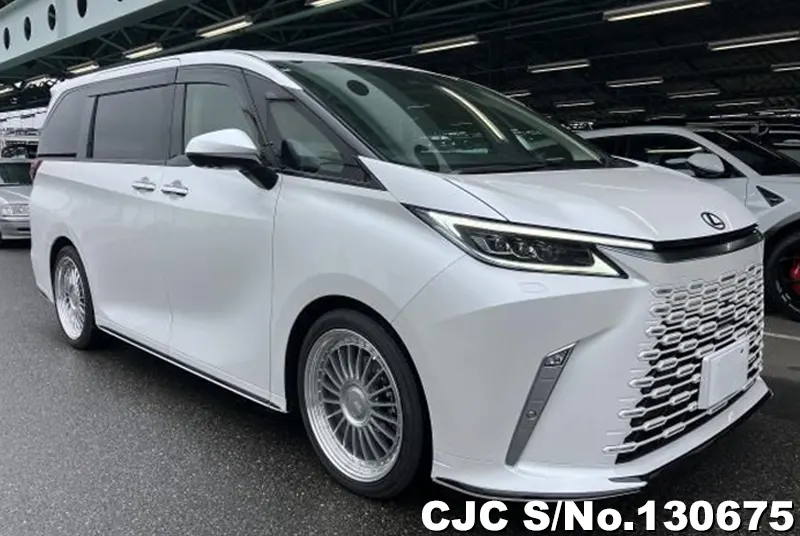 2024 Lexus / LM500h TAWH15W
