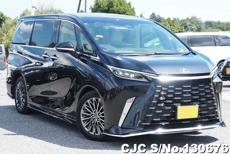 2024 Lexus / LM500h TAWH15W