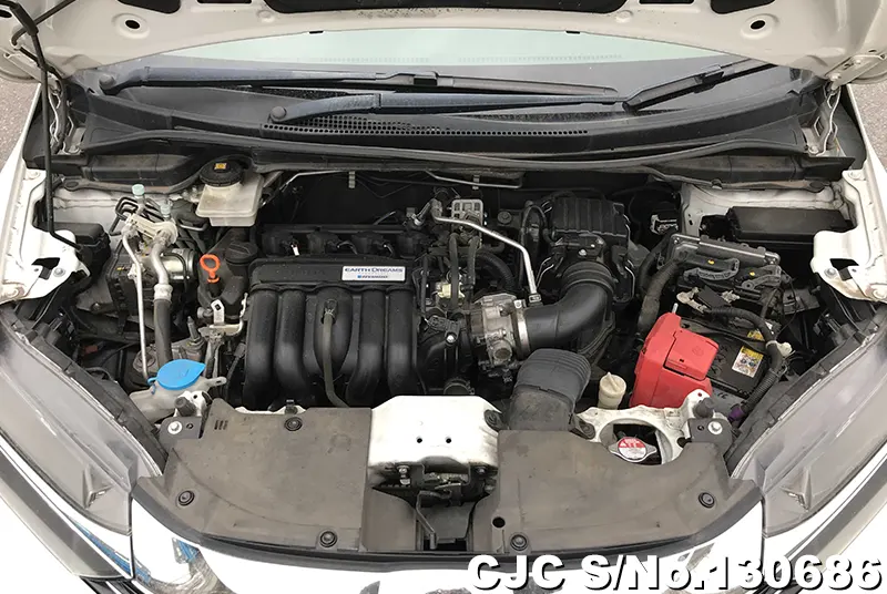 2020 Honda / Shuttle Stock No. 130686