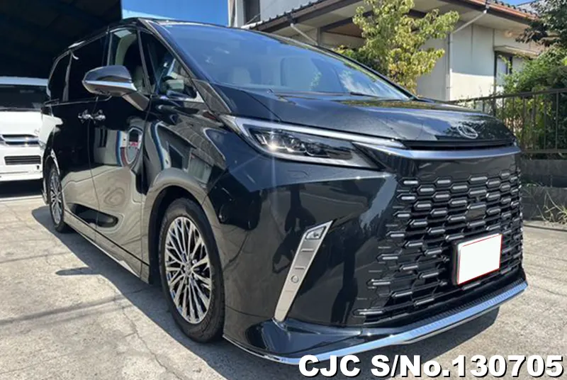 2025 Lexus / LM500h TAWH15W