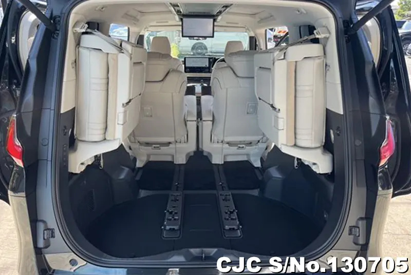 2025 Lexus / LM500h Stock No. 130705