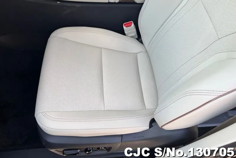 2025 Lexus / LM500h Stock No. 130705