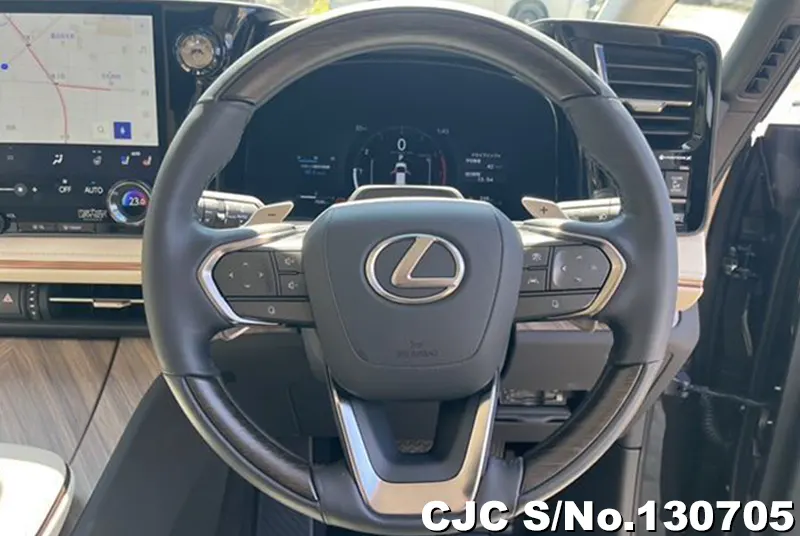 2025 Lexus / LM500h Stock No. 130705