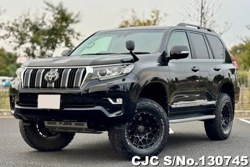 2019 Toyota / Land Cruiser Prado Stock No. 130745