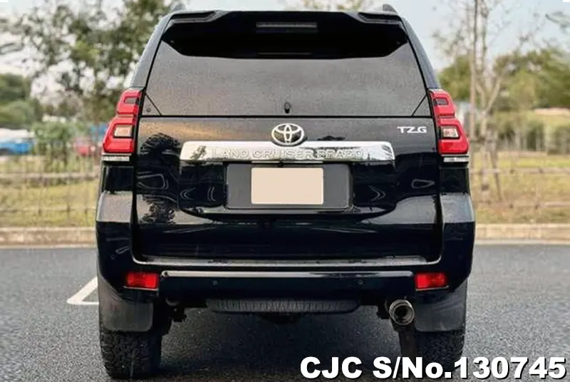 2019 Toyota / Land Cruiser Prado Stock No. 130745