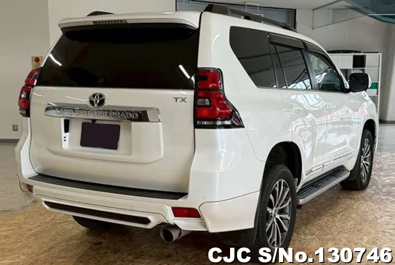 2019 Toyota / Land Cruiser Prado Stock No. 130746