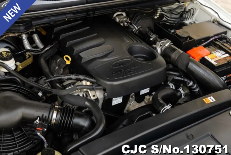 2013 Ford / Ranger Stock No. 130751