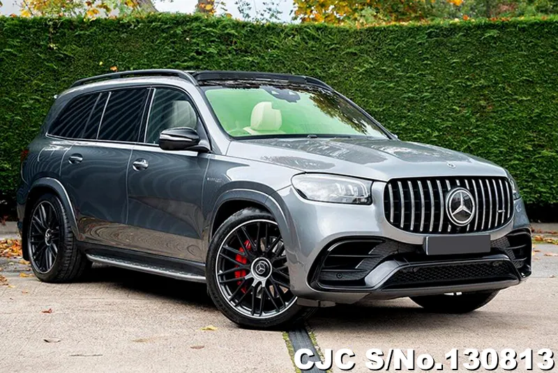 2021 Mercedes Benz / GLS Class Stock No. 130813